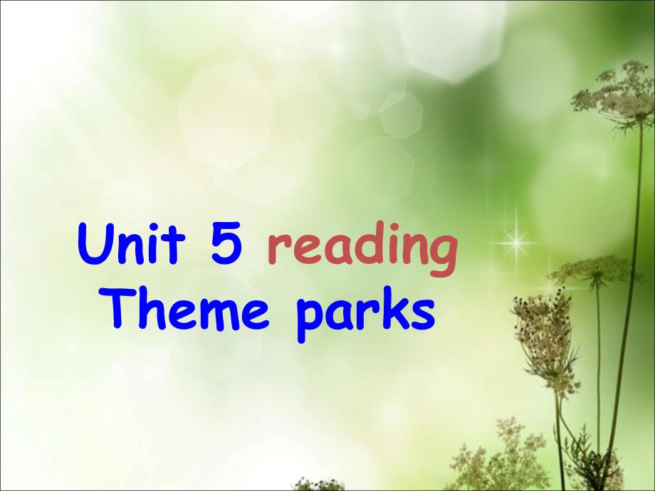 人教新课标高中英语必修四Unit5ThemeparksReading课件3共104.ppt_第1页