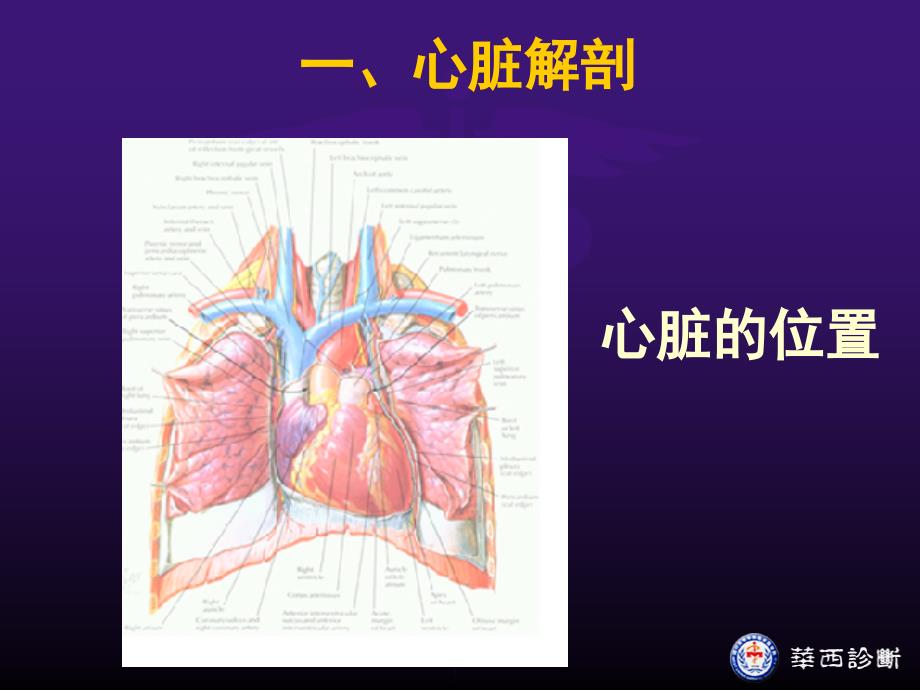 超声心动图正常ppt_第3页