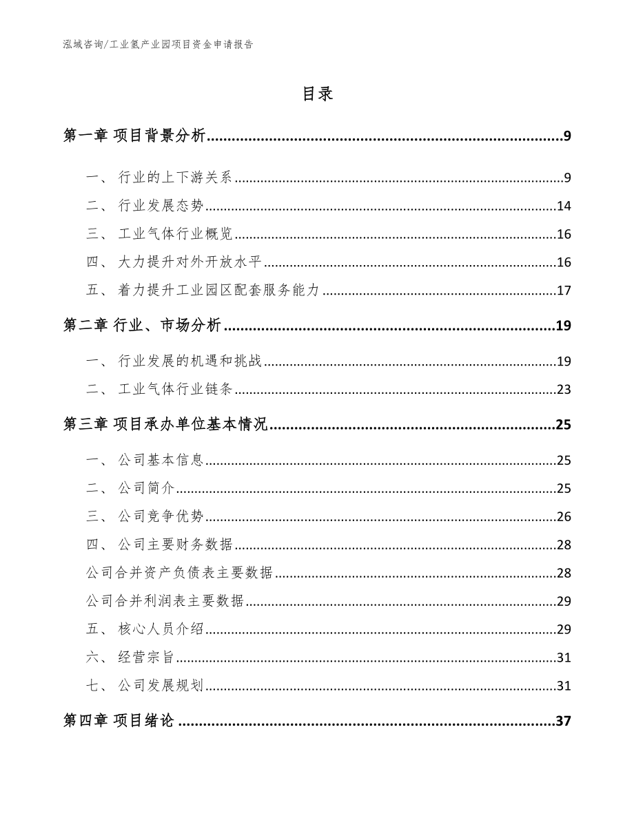 工业氢产业园项目资金申请报告_第2页