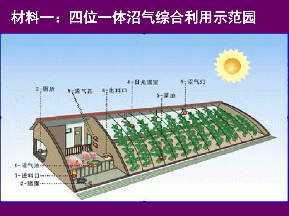 家乡的农业园区会是什么样_第3页