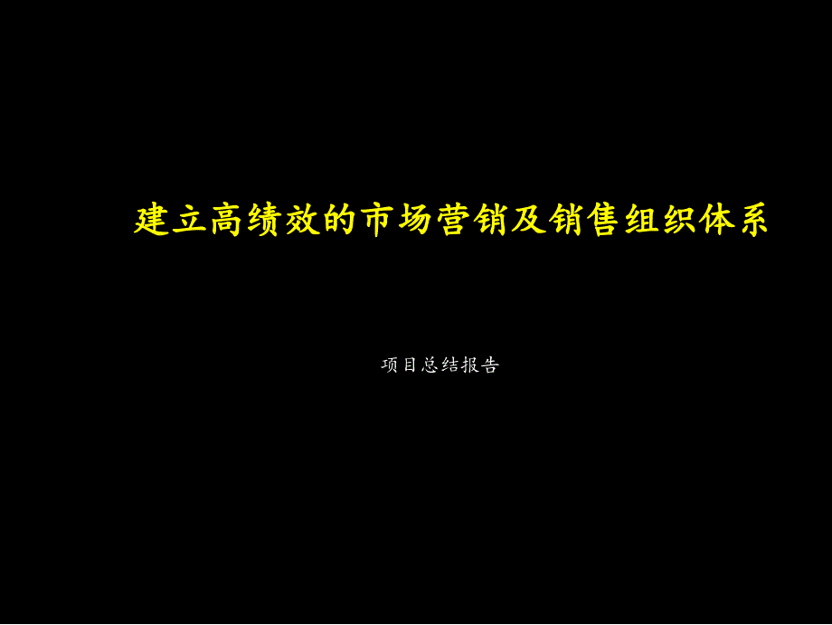 实达案例：建立高绩效的市场营销及销售组织体系_第1页