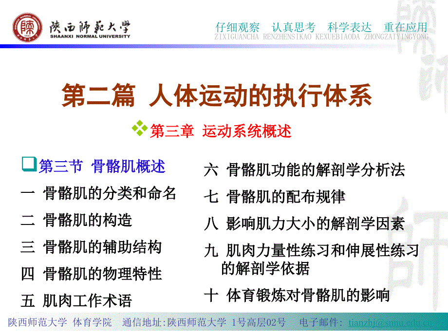 篇人体运动的执行体系-骨骼肌的概述.ppt_第3页