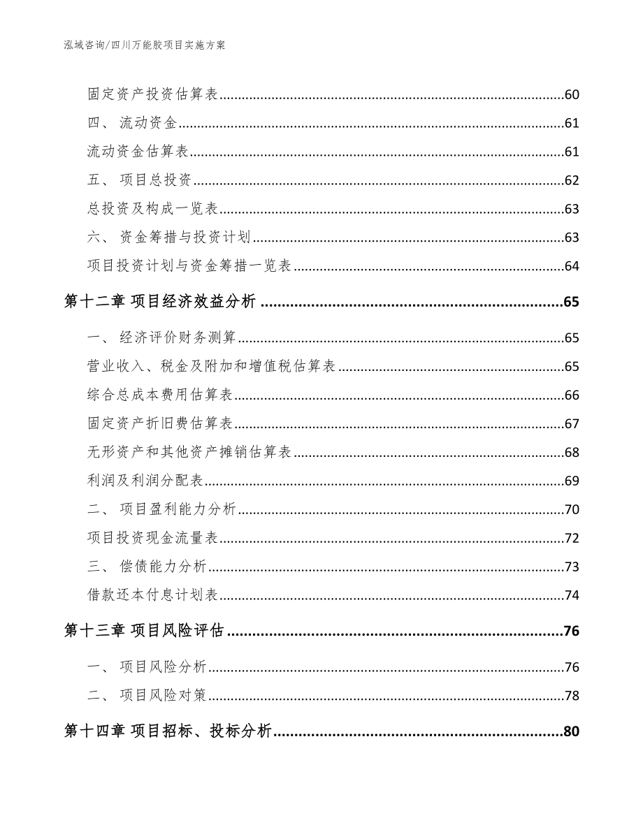 四川万能胶项目实施方案_第5页