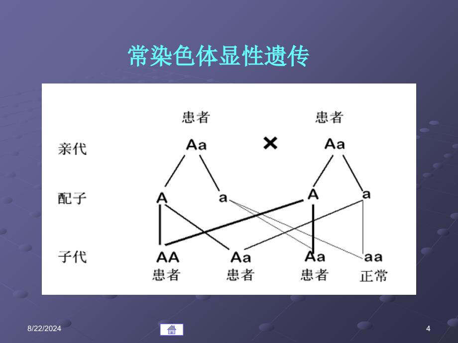 第09章基因变异与疾病文档资料_第4页