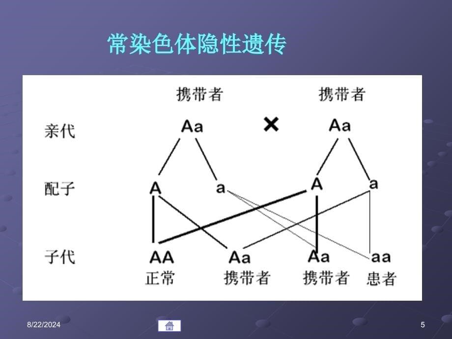 第09章基因变异与疾病文档资料_第5页