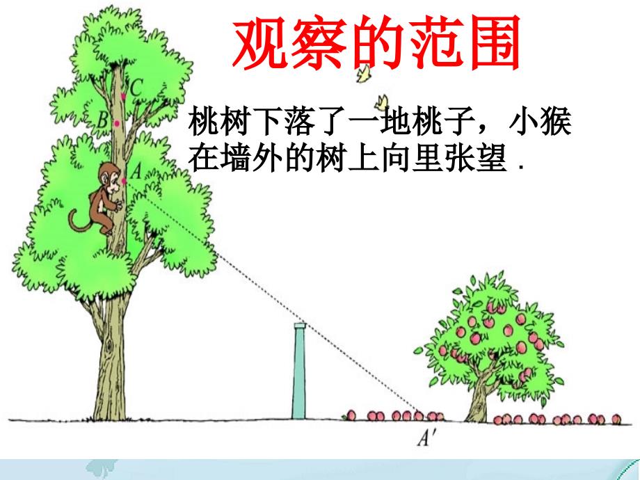 【北师大版】数学六年级上册：第3单元观察的范围ppt课件2_第4页