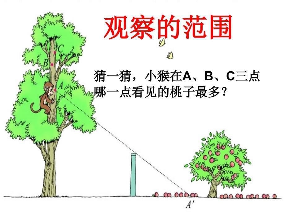 【北师大版】数学六年级上册：第3单元观察的范围ppt课件2_第5页