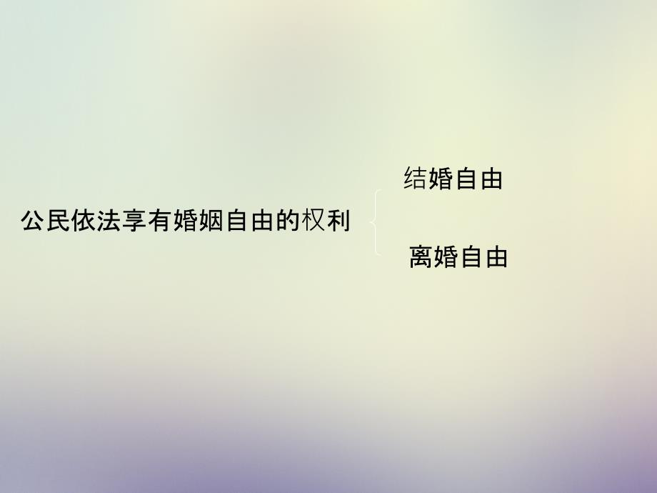 婚姻家庭法律讲座课件_第4页