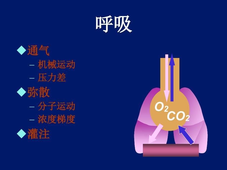 呼吸力学与呼吸机波形及其临床意义_第5页