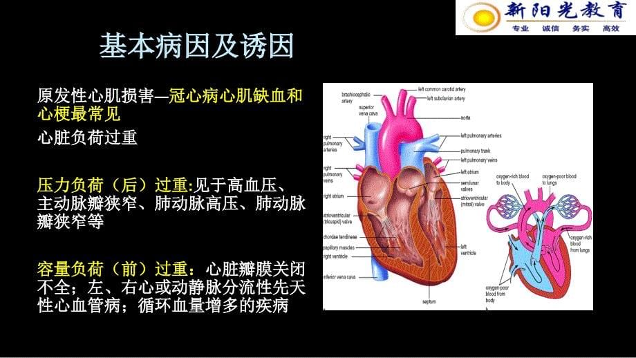 1心力衰竭分课件文档资料_第5页