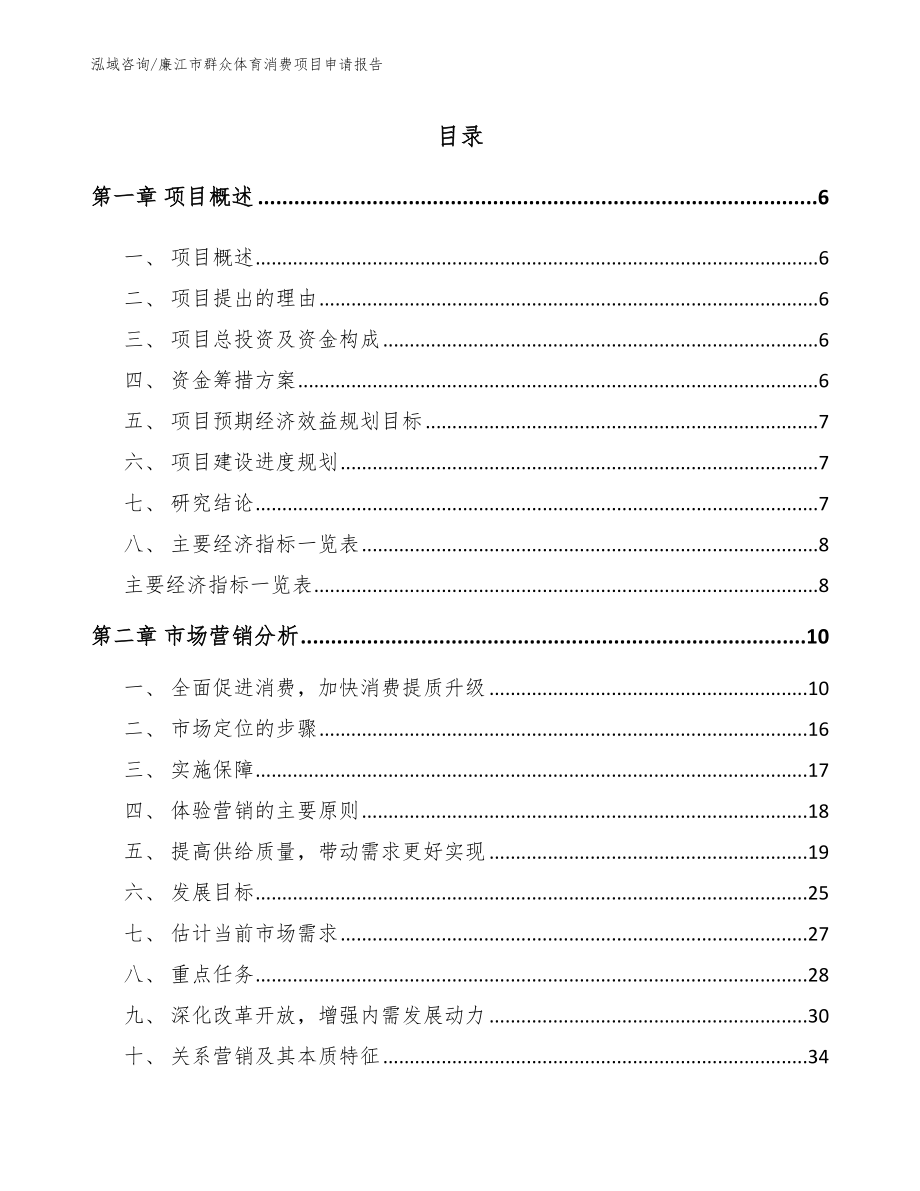 廉江市群众体育消费项目申请报告【模板范本】_第1页