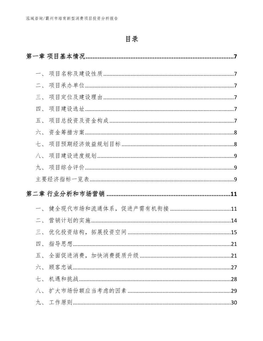 霸州市培育新型消费项目投资分析报告模板范文_第2页