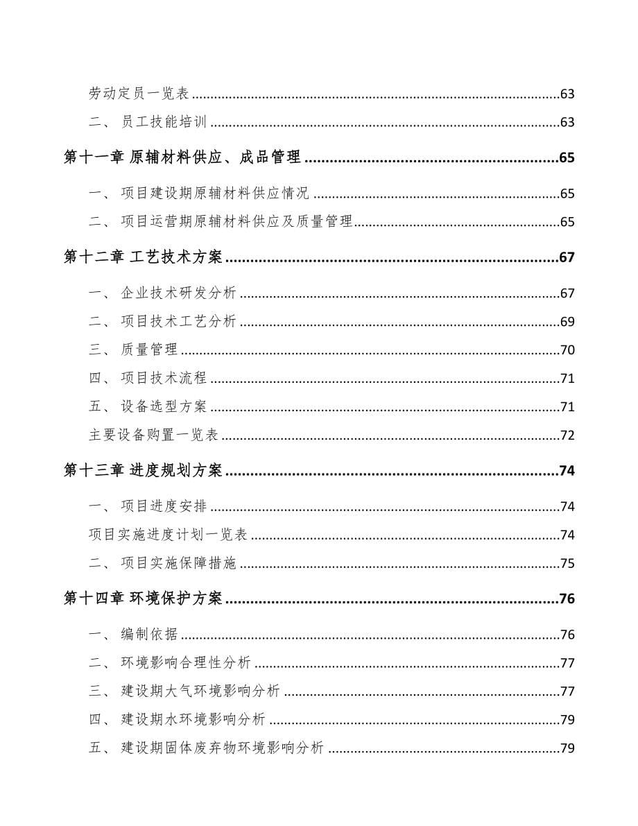 南昌吊装带项目可行性研究报告模板范本(DOC 92页)_第5页
