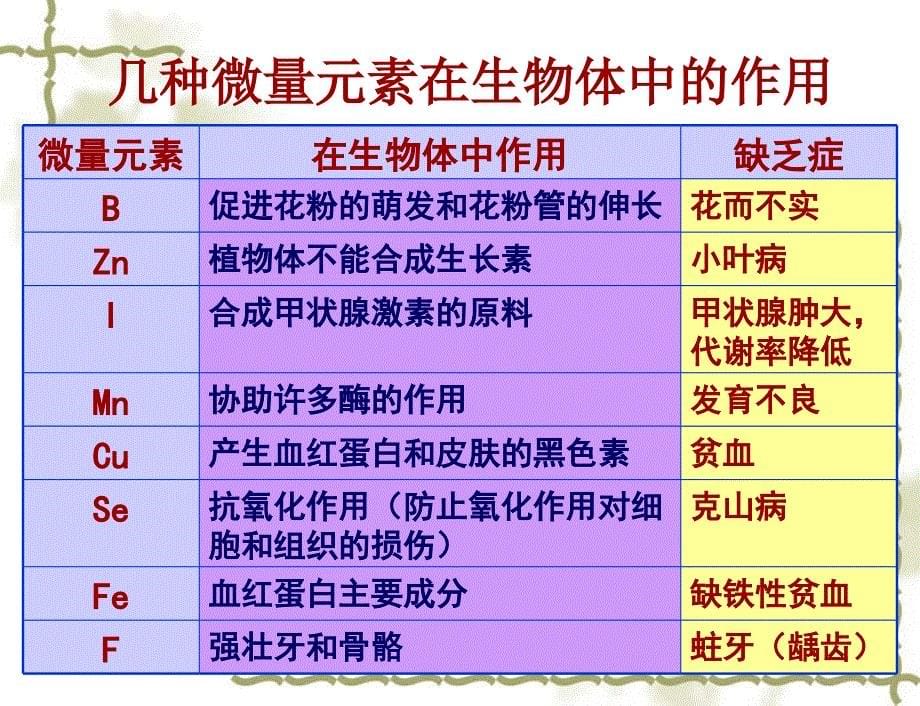 一轮复习细胞中的元素和化合物细胞中的无机物_第5页