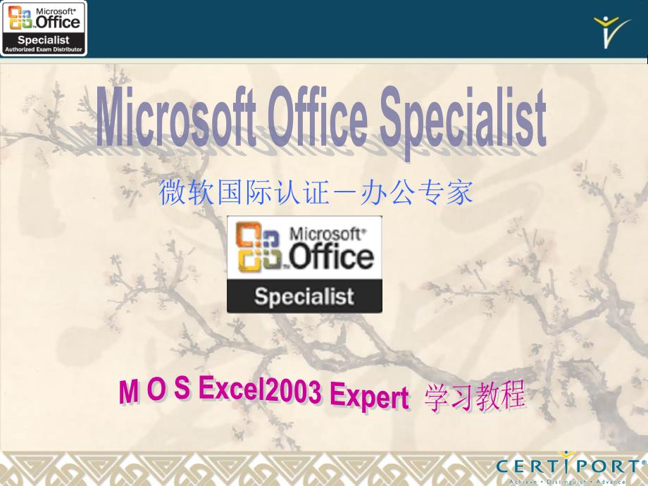 MOSExcel2003培训教材ExpertCPC1012_第1页