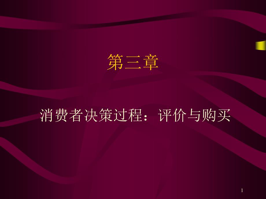 消费者决策过程：评价与购买.ppt_第1页