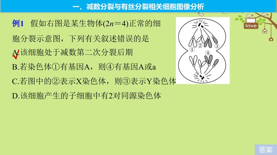 高考生物大一轮复习热点题型三多角度辨析减数分裂和有丝分裂课件_第2页