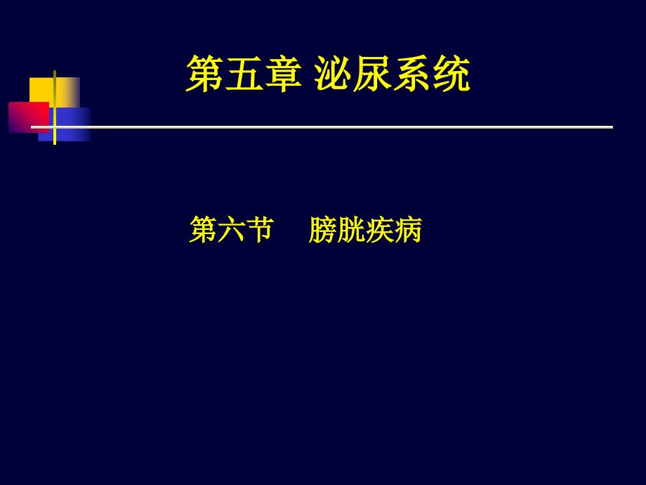 医学超声影像学-膀胱超声_第1页