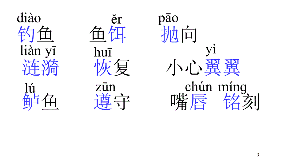 17你必须把这条鱼放掉第一课时_第3页