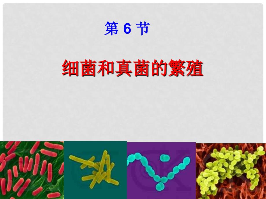 七年级科学下册 1.6 细菌和真菌的繁殖课件 浙教版_第1页