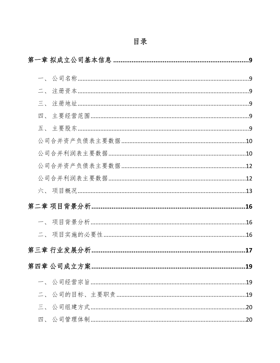 西宁关于成立电动工具公司可行性研究报告范文_第2页