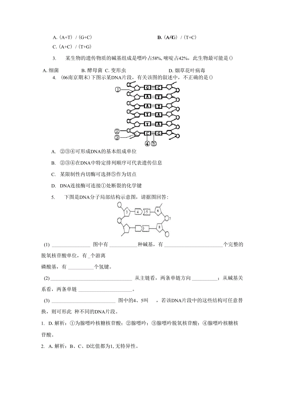 专题复习：DNA分子结构_第4页