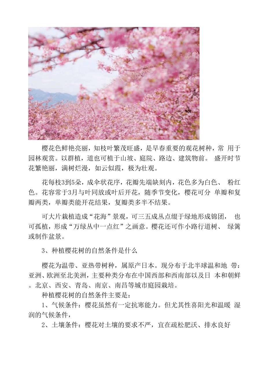 樱花种植气候条件_第4页