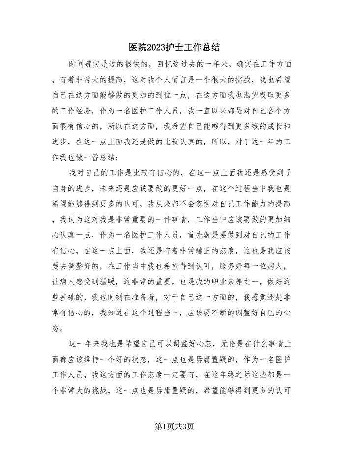医院2023护士工作总结(2篇).doc