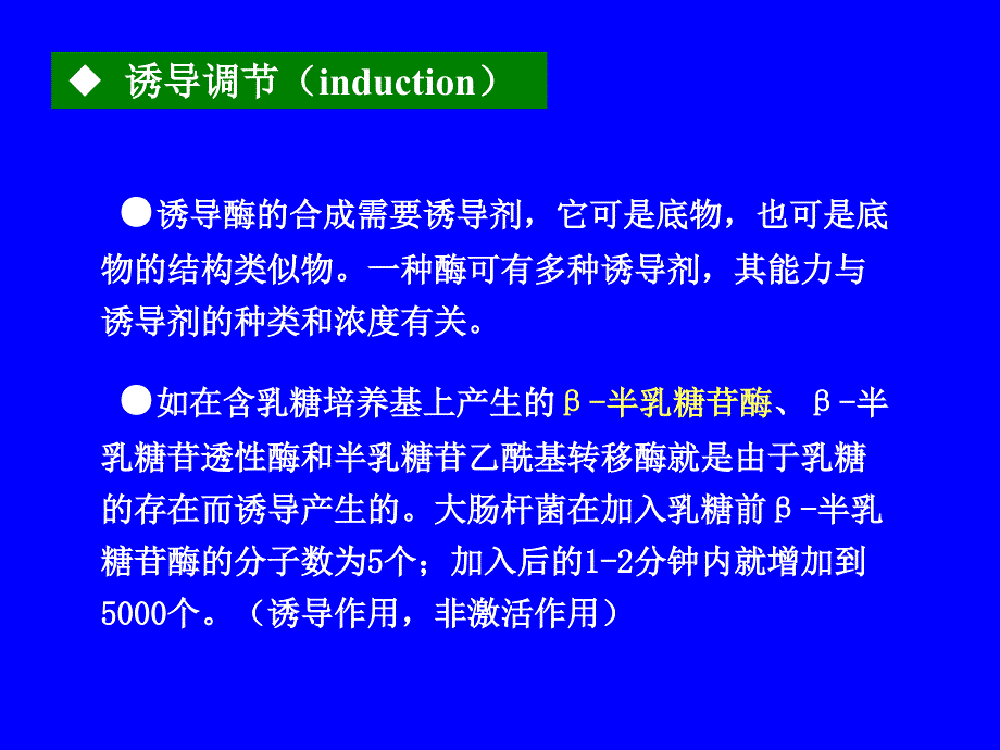 微生物初级代谢产物的代谢调控_第4页