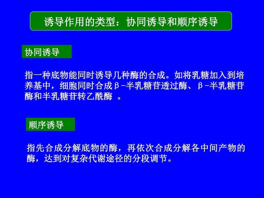 微生物初级代谢产物的代谢调控_第5页