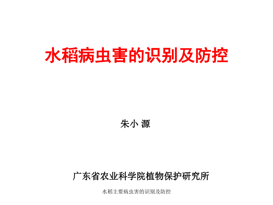 水稻主要病虫害的识别及防控课件_第1页