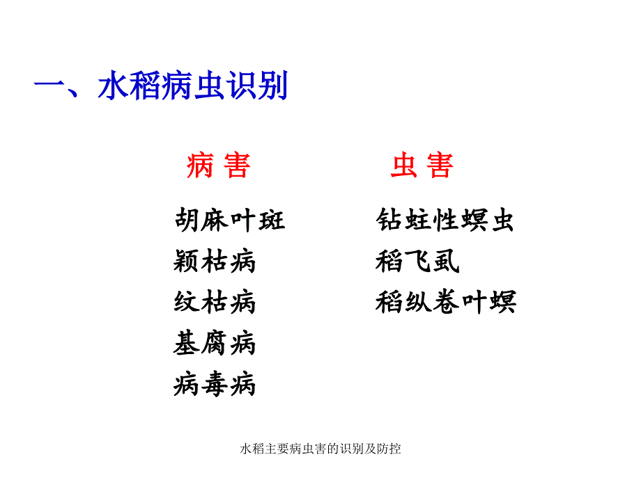 水稻主要病虫害的识别及防控课件_第3页