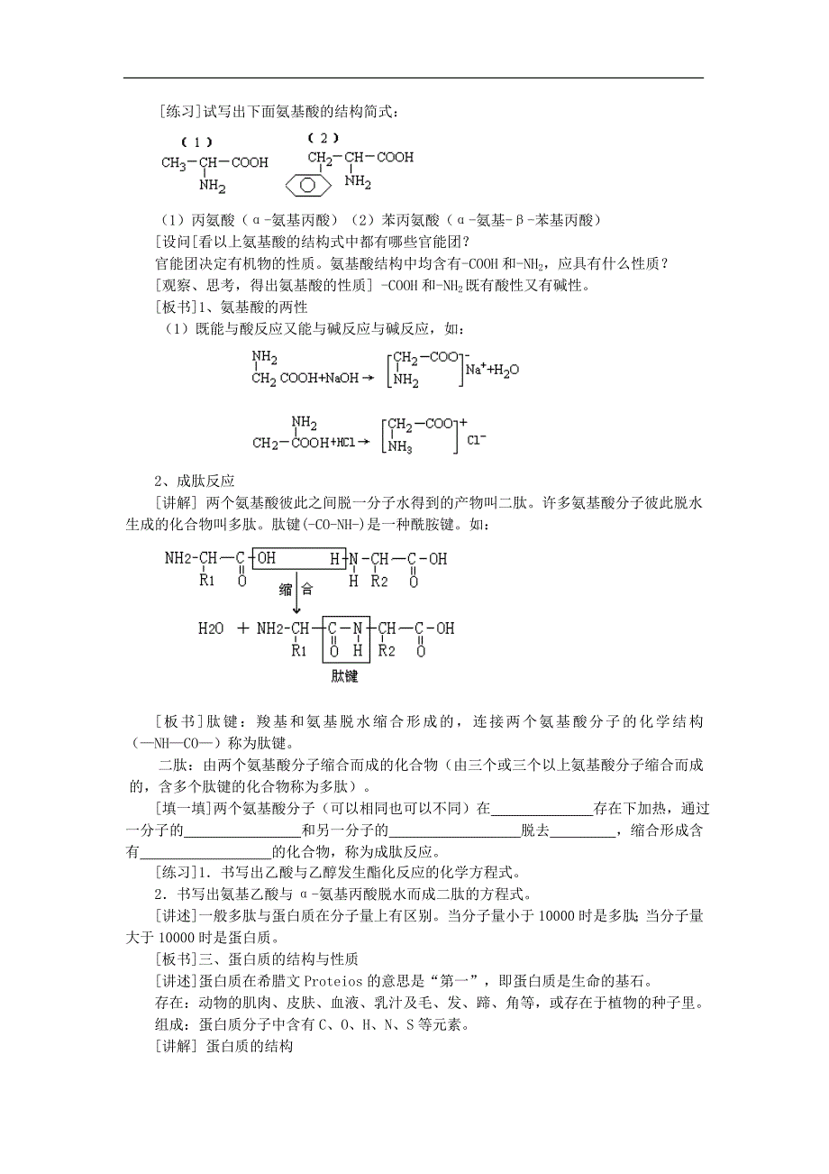 蛋白质和核酸1_第2页