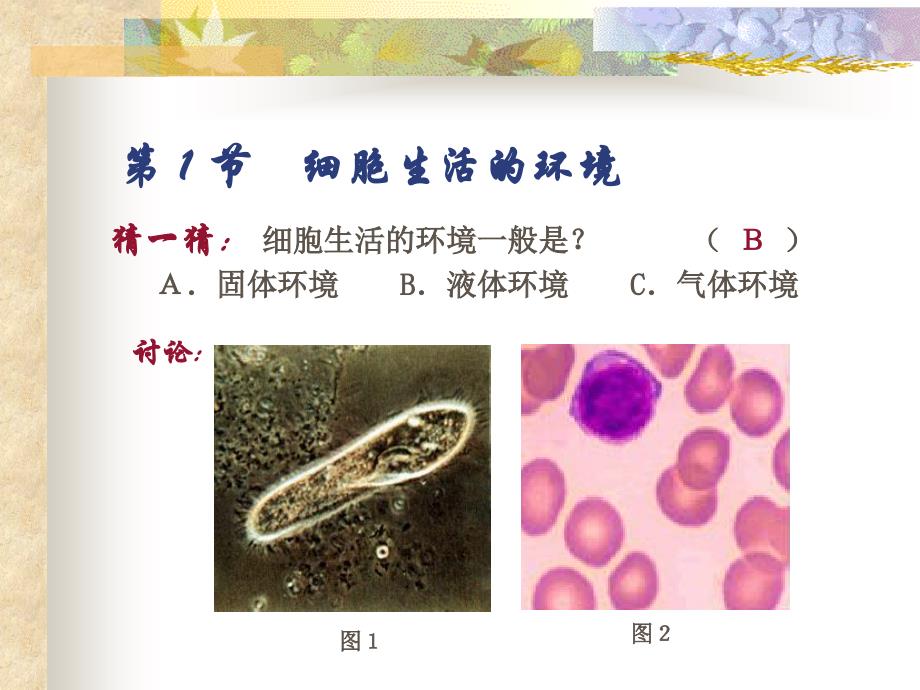 细胞生活环境讲课藁_第3页