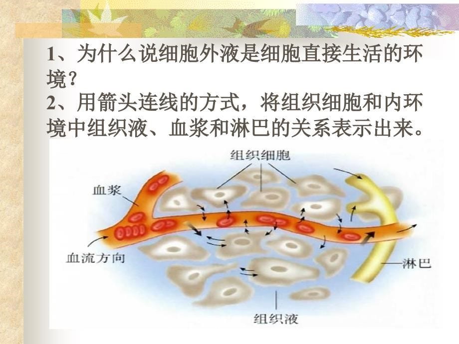 细胞生活环境讲课藁_第5页