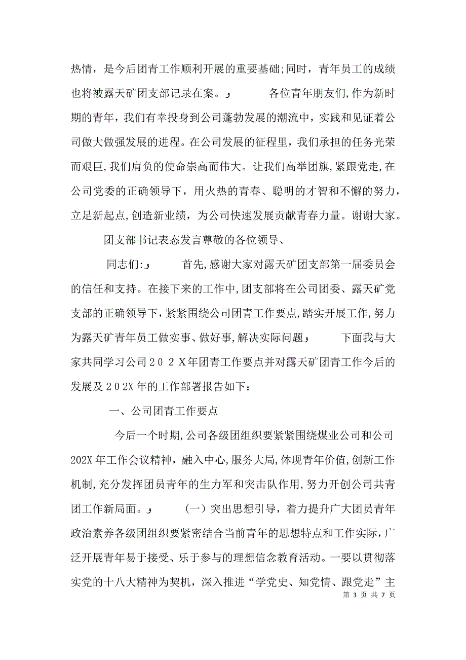 书记在矿山违法开采治理大会的发言_第3页