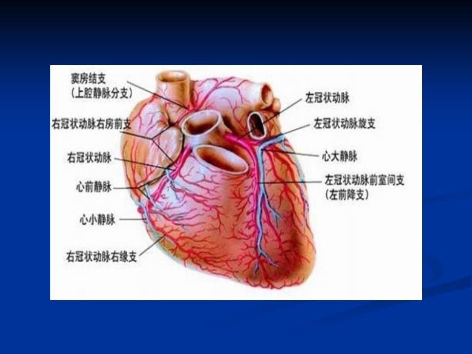 冠心病病人非心脏手术的麻醉课件_第5页