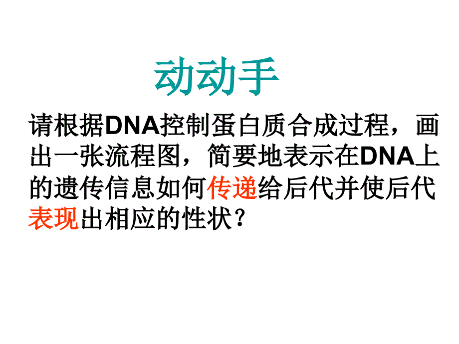 沈晓丽基因对性状的控制_第4页