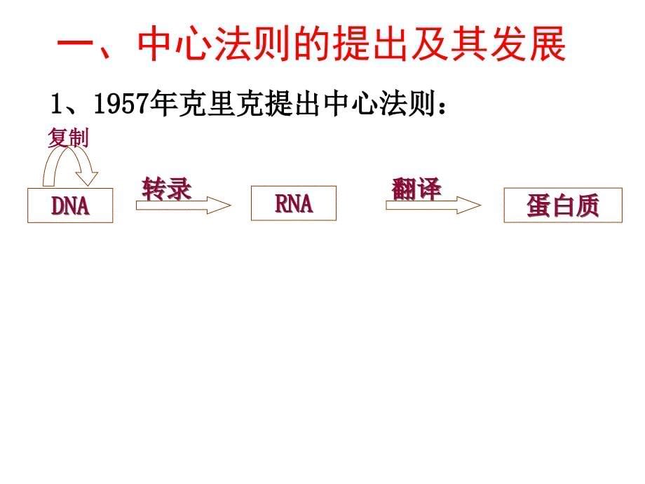 沈晓丽基因对性状的控制_第5页