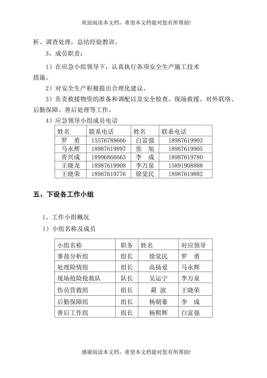 抗洪防洪应急预案_第5页