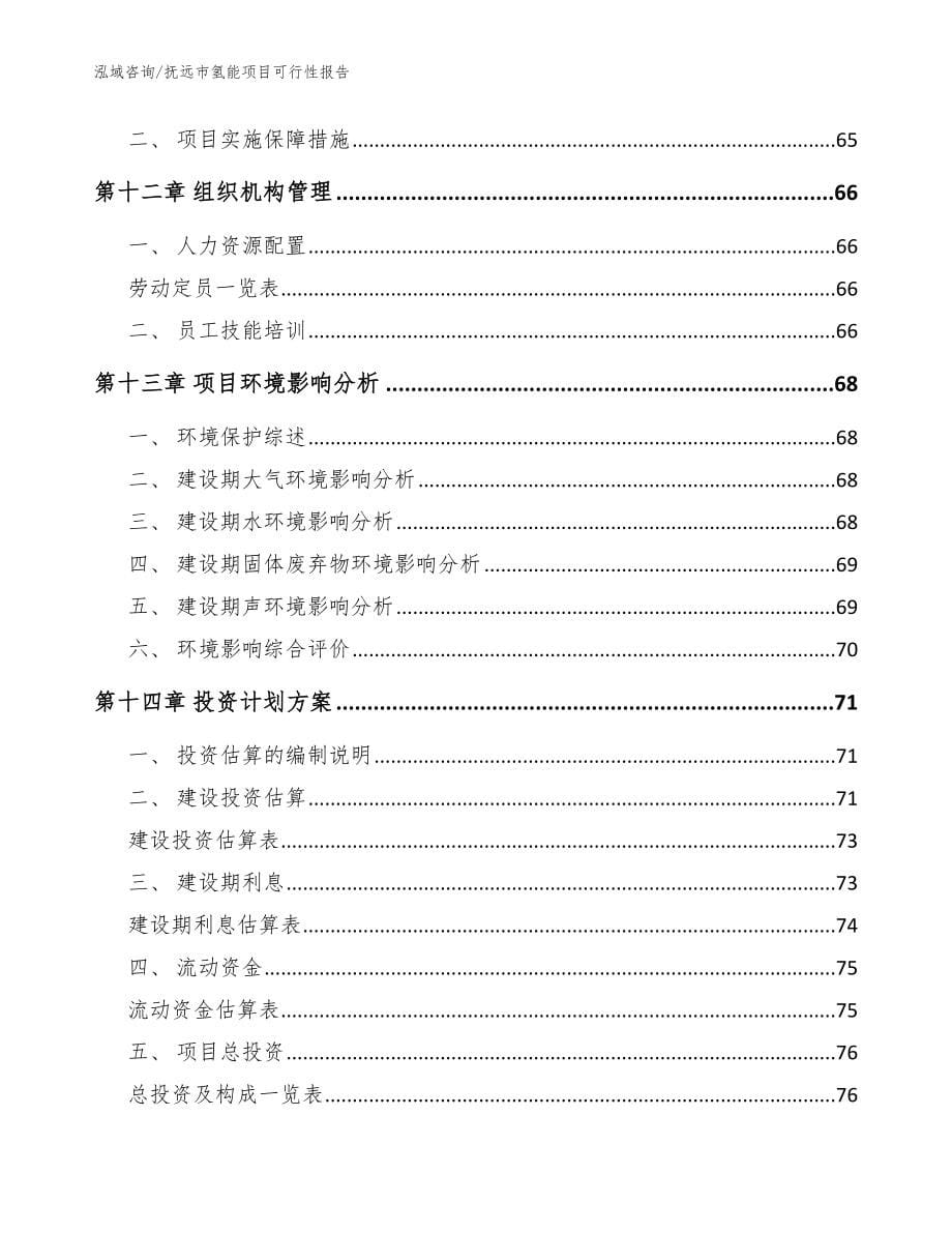 抚远市氢能项目可行性报告（范文参考）_第5页