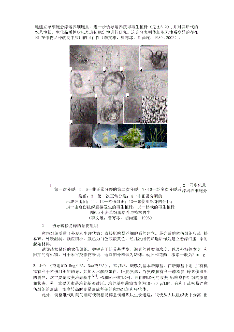 植物细胞悬浮培养与细胞突变体筛选_第2页