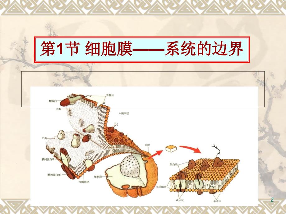 生物：3.1《细胞膜-系统的边界》课件(新人教版必修1)_第2页