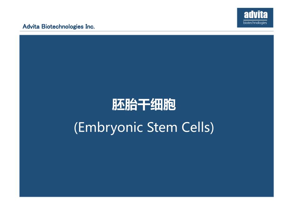 干细胞在再生医学和化妆品中的应用_第4页