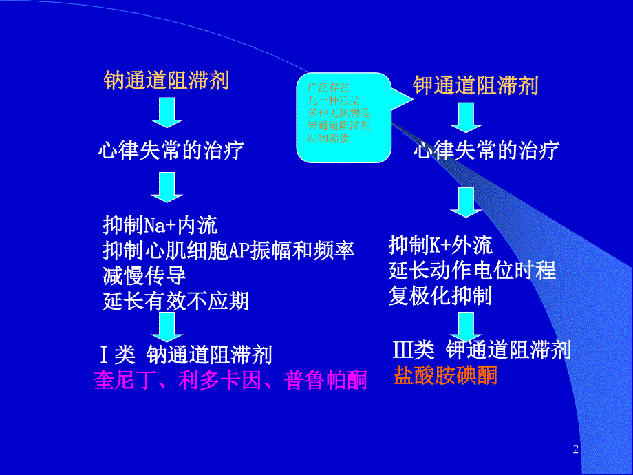 第四章第三节钠钾通道阻滞剂_第2页