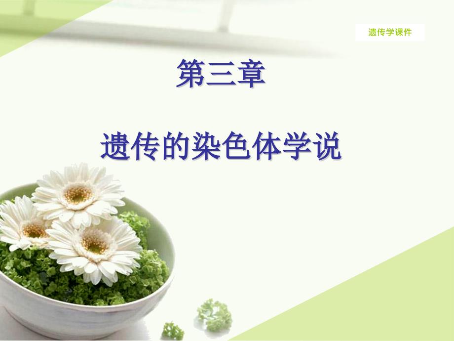 遗传学课件第三章.ppt_第1页