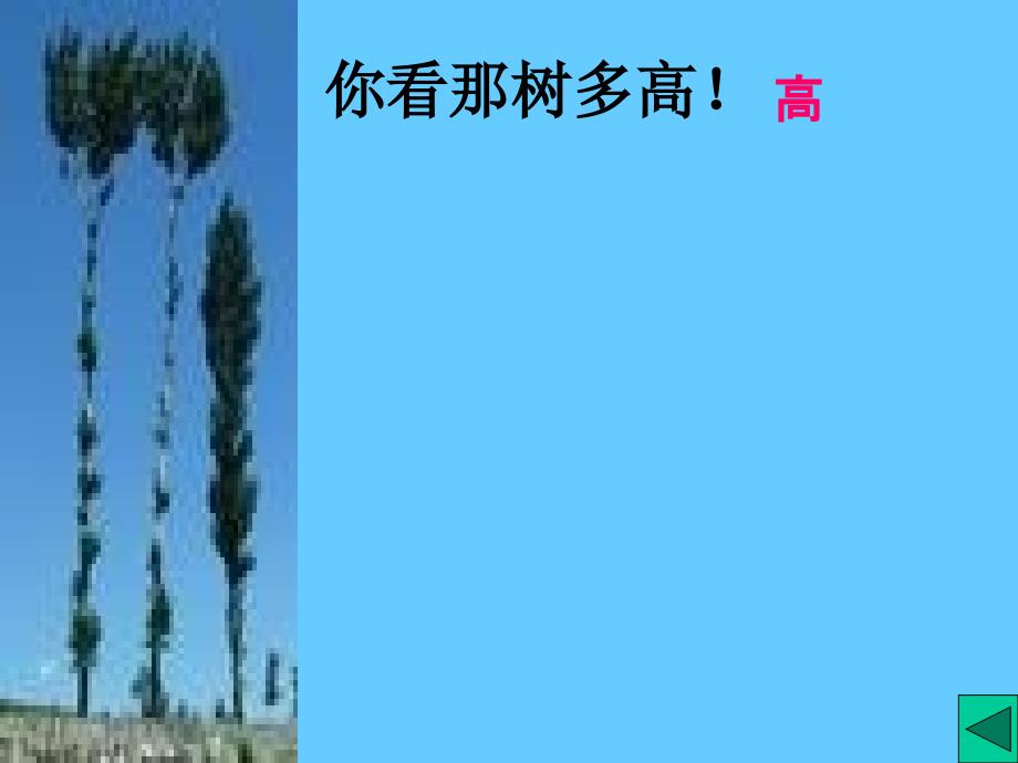 你看那树多高！_第3页