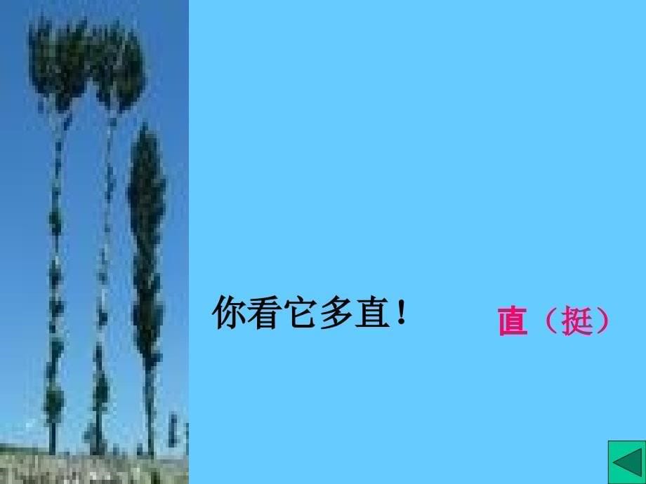 你看那树多高！_第5页