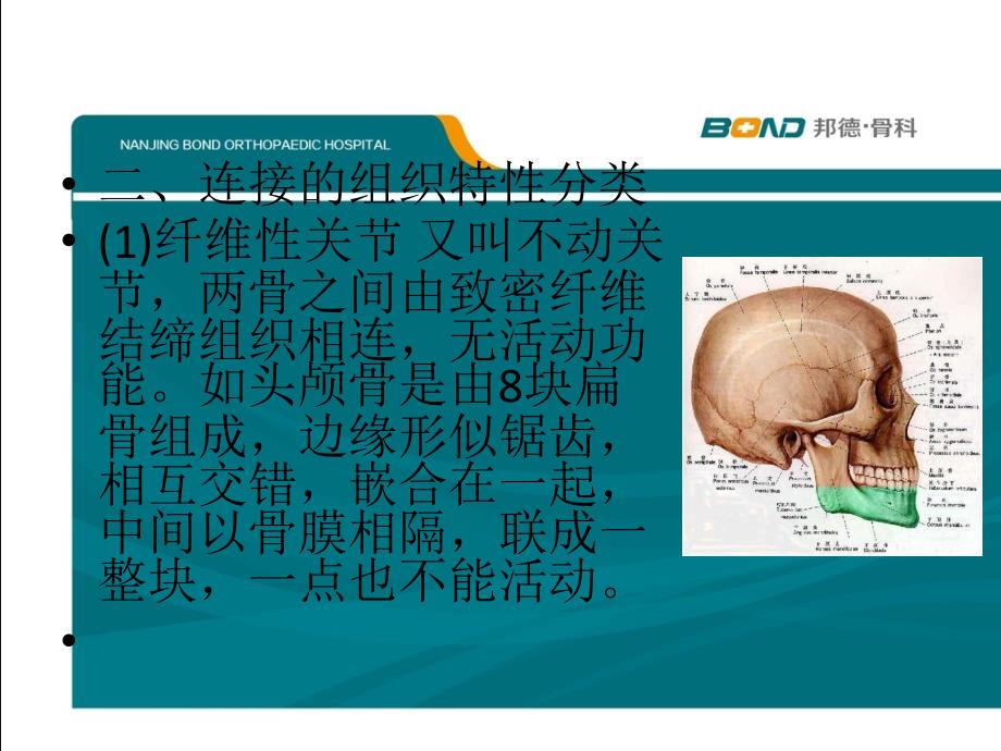 关节基本知识PPT课件_第4页