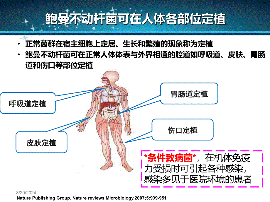 鲍曼不动杆菌PPT课件_第4页